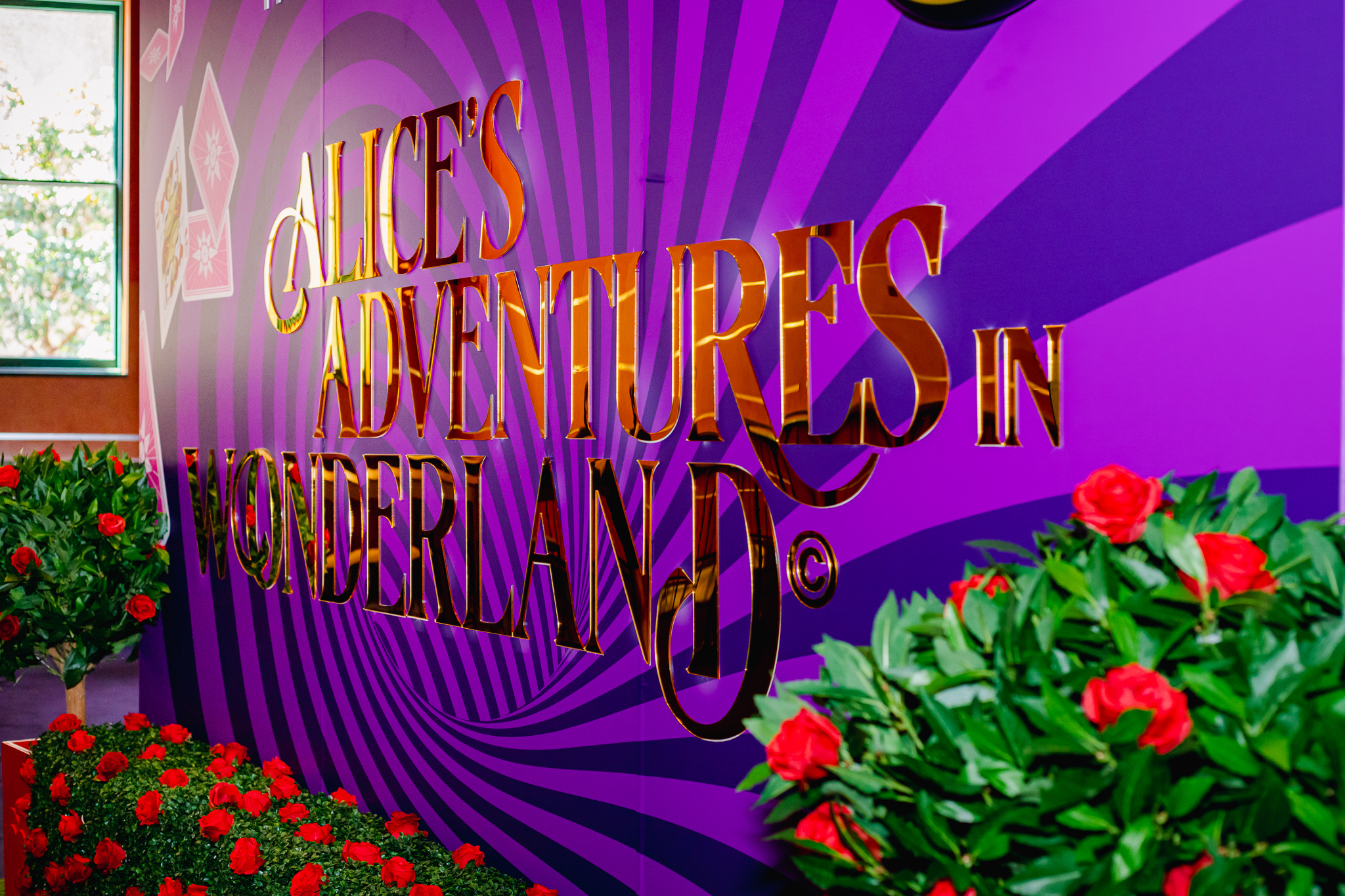 Alice in Wonderland 9