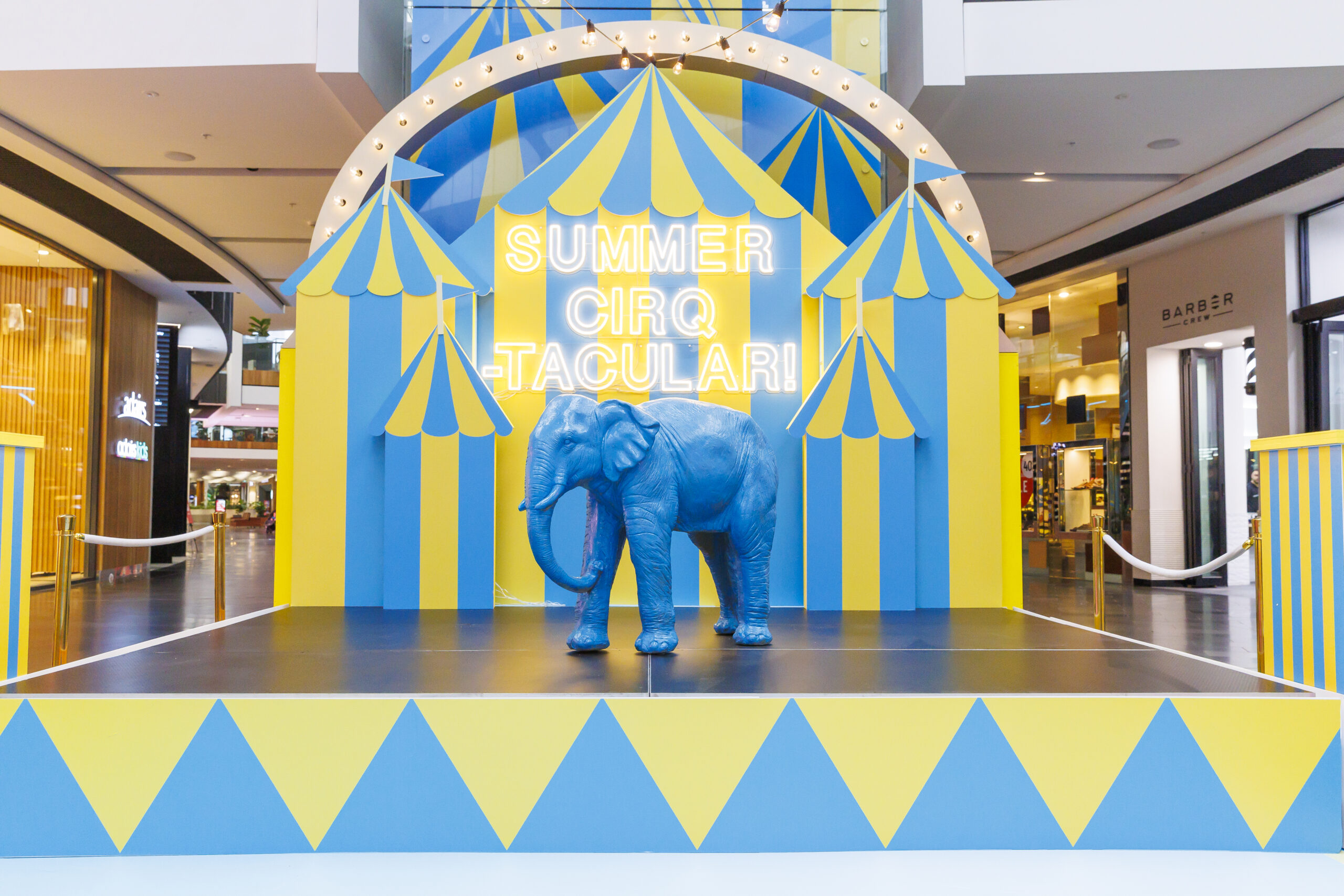 Highpoint | Summer Cirq-Tacular!